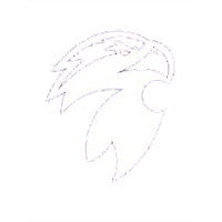 Syrian Premier League logo