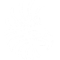 Liga Panameña - Apertura logo