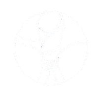 League Details logo