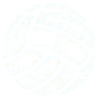 Divisional C - Opening Tournament logo
