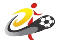 Copa Santa Catarina logo