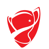 Turkiye Cup logo
