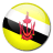 Brunei National Team