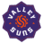Valley Suns