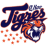 Tigres de Quintana Roo