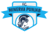 Minerva Punjab