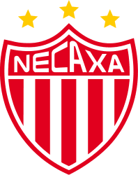 Black and gold sales pumas vs necaxa