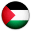 Palestine National Team