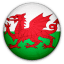 ويلز National Team
