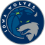Iowa Wolves