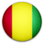 Guinea National Team