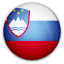 Slovenia National Team