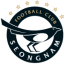 Seongnam Ilhwa