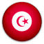 Tunísia National Team