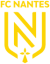 נאנט logo