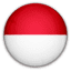 Indonesia National Team