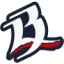 Bravos De León