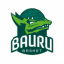 Bauru Basket
