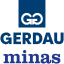Gerdau Minas (W)