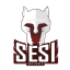Sesi Bauru