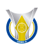 Brasileirão - Série A, Brasil