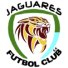 Jaguares de Córdoba