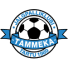 JK Tammeka Tartu