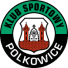 Gornik Polkowice