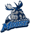 Manitoba Moose