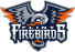 Flint Firebirds