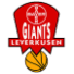 Bayer Giants Leverkusen