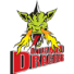 Artland Dragons