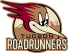 Tucson Roadrunners