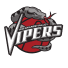 Rio Grande Valley Vipers