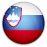 斯洛文尼亚 National Team