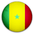 ဆီနီဂေါ National Team