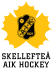 Skelleftea AIK