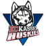Kassel Huskies