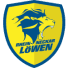 Rhein-Neckar Löwen