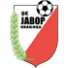 Javor Ivanjica