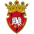 FC Penafiel
