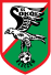 Sokół Kleczew