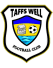 Taffs Well