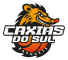Caxias do Sul