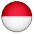 Indonesia National Team