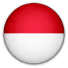 Indonésia National Team
