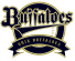 Orix Buffaloes