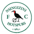 Nsingizini Hotspurs