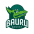 Bauru Basket