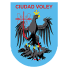 Ciudad Vóley